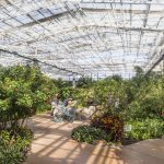 Butterfly Wonderland