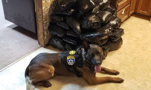 Traffic stop leads to largest meth seizure in Arizona DPS history