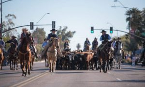Buckeye Days to celebrate West Valley city's roots