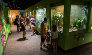 Scottsdale's Butterfly Wonderland earns certified autism designation