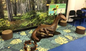 Mesa natural history museum gets $10K grant to increase accessibility