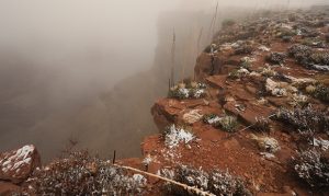 Texas man missing for 12 days found alive in Grand Canyon