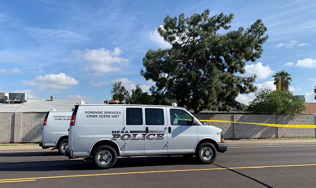 (Mesa Police Photo)...