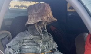 Driver cited for driving in East Valley HOV lane with skeleton passenger