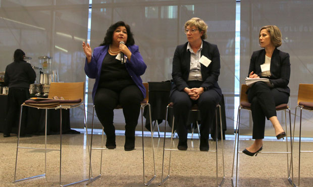 The Nonprofit and Community Organization Panel featured, from left, Lydia Guzman, director for advo...