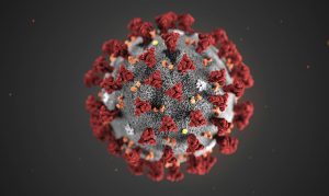 Researchers trace Arizona's early COVID-19 outbreaks to 11 travelers