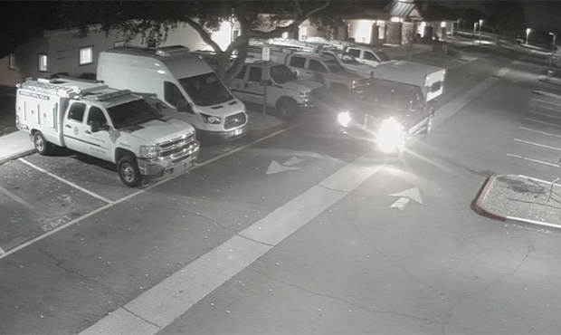 (Surveillance video screenshot/Arizona Humane Society)...
