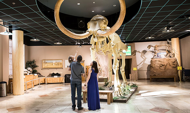(Photo provided by i.d.e.a. Museum)...