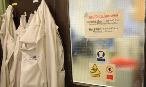 No new Arizona coronavirus cases reported in Thursday update