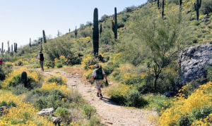 Maricopa County Parks increasing restrictions ahead of Easter weekend