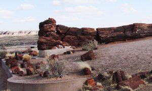 Petrified Forest National Park trails, wilderness areas to reopen Friday