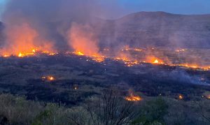 Interstate-17 reopened north of Phoenix after Sunset Fire closure