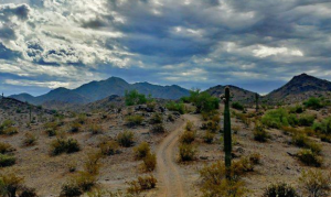 Maricopa County regional park fire ban set to take effect Monday