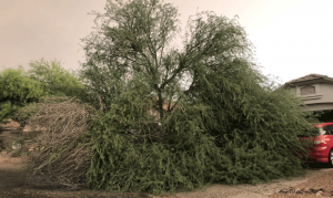 Dust storm rolls through East Valley on Saturday evening