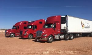 St. Mary’s Food Bank to donate record amount of food to Navajo Nation