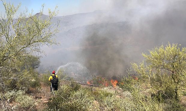 (Twitter Photo/@azstateforestry)...