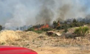 5 kids charged after starting Park Fire in Yavapai County