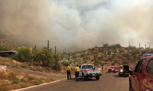 1,500-acre Cave Creek fire reaches 50% containment