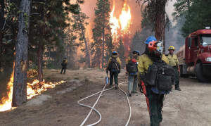 As if firefighting wasn’t dangerous enough, crews grapple with COVID-19