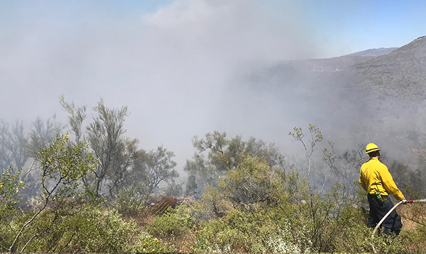 (Twitter Photo/@azstateforestry)...