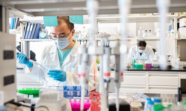 new york lab...