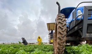 Small farms struggle to get federal relief funds from USDA