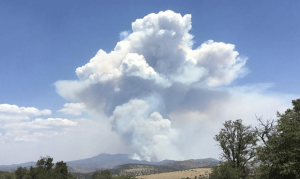 Bringham Fire in eastern Arizona burns nearly 20,000 acres, 20% contained