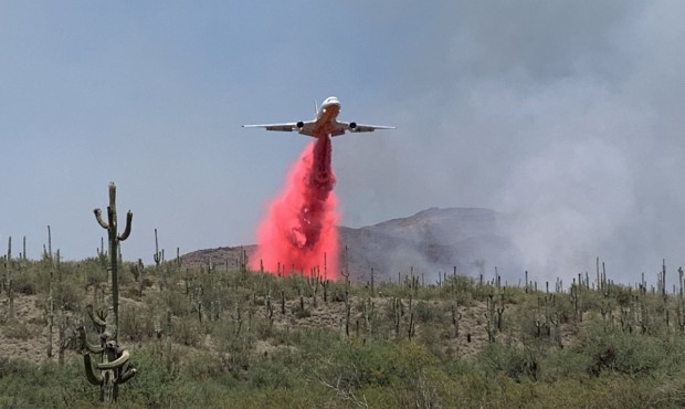 (Twitter Photo/@azstateforestry)...