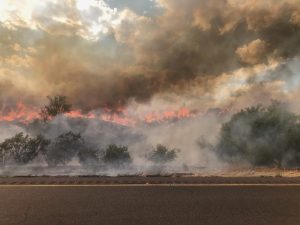 Evacuations ordered for Bush Fire, as part of State Route 87 remains closed
