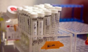 ASU researchers develop cheaper, faster saliva test for COVID-19