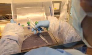 Arizona reports 2,339 new coronavirus cases, 46 more deaths