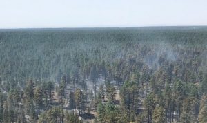 Kaibab, Coconino forests to restart fire restrictions due to lack of rain
