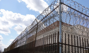 Mesa woman begins 6-year prison term for stolen insurance checks
