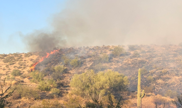 (Twitter Photo/@azstateforestry)...