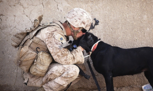 Arizona veterans group describes how to help vets during virus pandemic