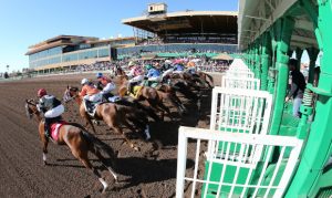 Turf Paradise calls off horse racing season over pandemic