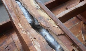 Border Patrol seizes $1M in drugs, arrests 8 people at Nogales crossing