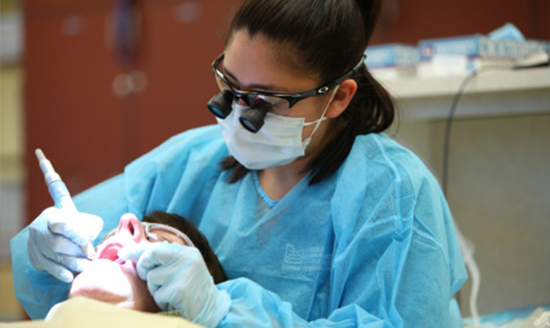 (Mesa Community College/Website Photo)...