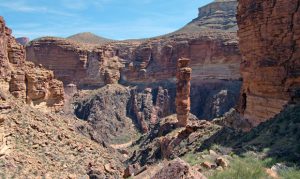 Arizona man guilty of igniting fire at Grand Canyon by burning toilet paper