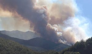 Horse Fire near Prescott grows to 8,950 acres, remains 0% contained