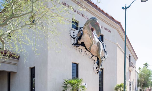 (Arizona Museum of Natural History Photo)...