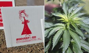 Supporters, opponents continue push on Arizona ballot initiatives