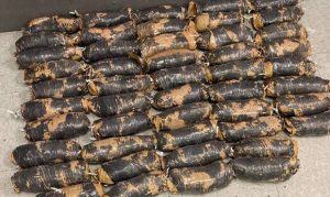 US border agents seize remote control car used to transport meth