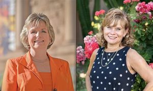 Arizona state Senate control could hinge on results of LD 28 election
