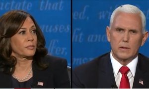 A fly at the Harris, Pence debate has internet buzzing