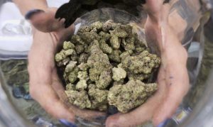 Groups argue for, against legalization of recreational marijuana in Arizona