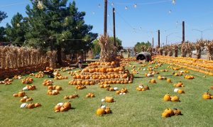 Find fall events in metro Phoenix with the KTAR News 92.3 FM map