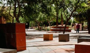 Outdoor dining venture at Sixth Street Park in Tempe put on hold