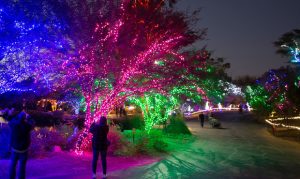 Get festive with the 2020 KTAR News holiday events map