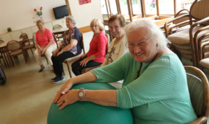 Valley nonprofit benefitting seniors seeks supplies for holiday influx